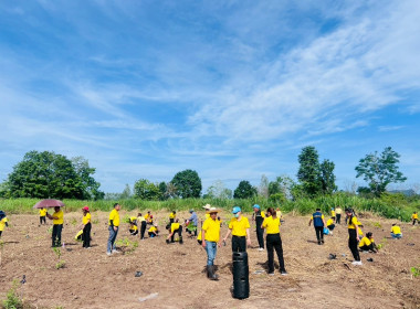 กิจกรรม ปลูกต้นไม้ 1 คน 1 ต้น เพื่อคนสุโขทัย พารามิเตอร์รูปภาพ 8